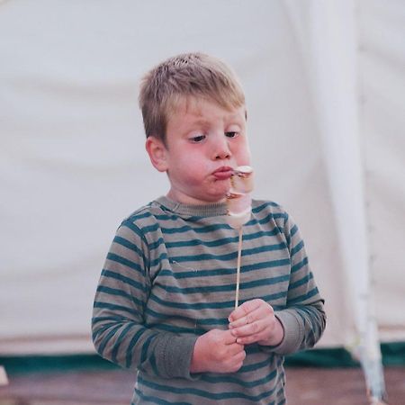 ホテル Ty Llewelyn Glamping & Camping スランイドロイス エクステリア 写真