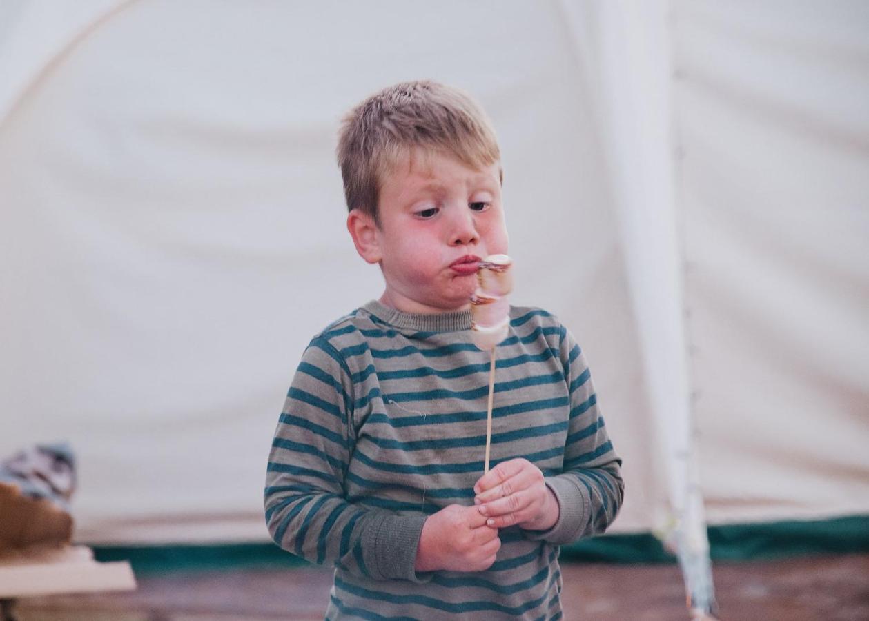 ホテル Ty Llewelyn Glamping & Camping スランイドロイス エクステリア 写真
